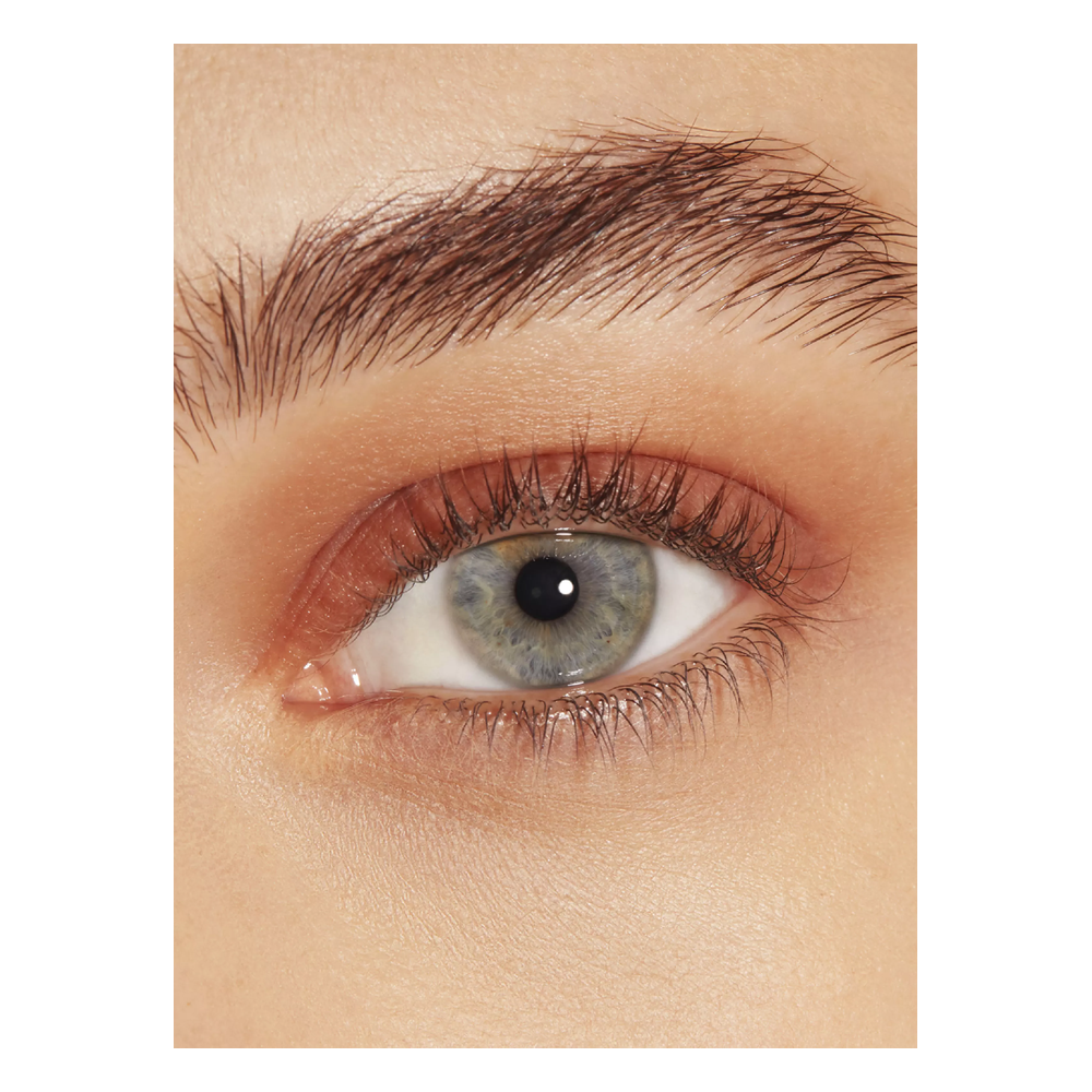 Carolina Herrera Sombra De Ojos Matte Chocolate 4