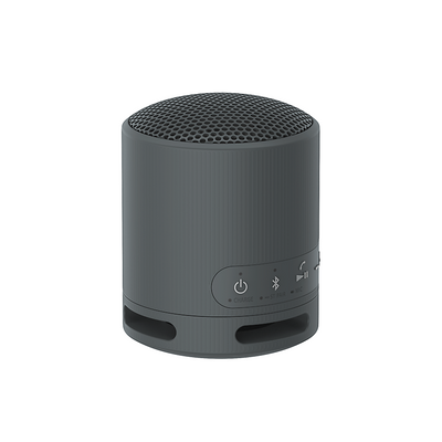 Sony Parlante Inalámbrico Portátil XB100 - Attenza.net