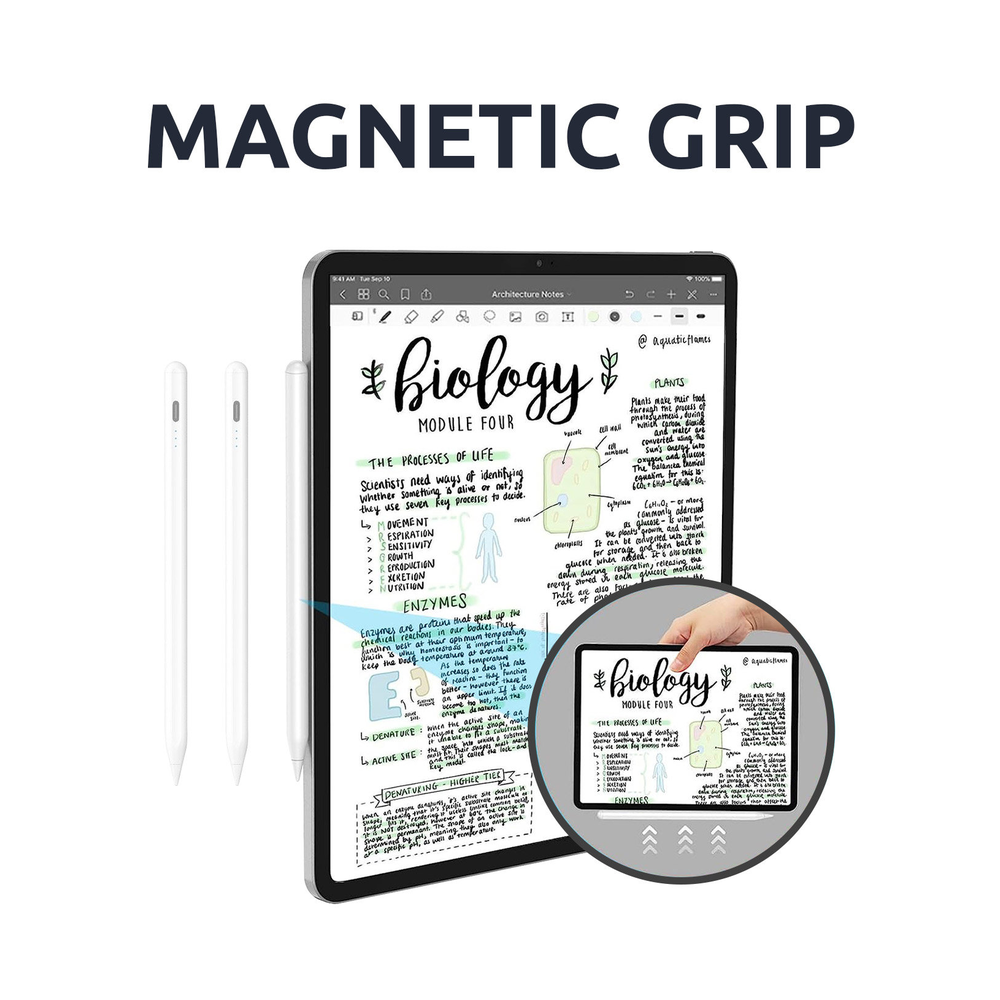 SmartPen Stylus para iPad