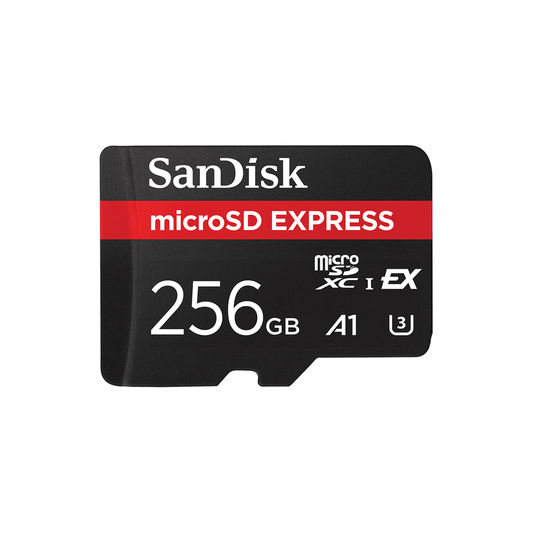 SanDisk Tarjeta De Memoria Microsd Express