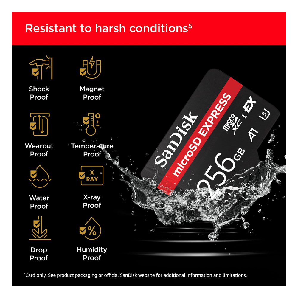 SanDisk Tarjeta De Memoria Microsd Express