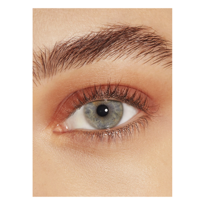 Carolina Herrera Sombra De Ojos Matte Chocolate 4