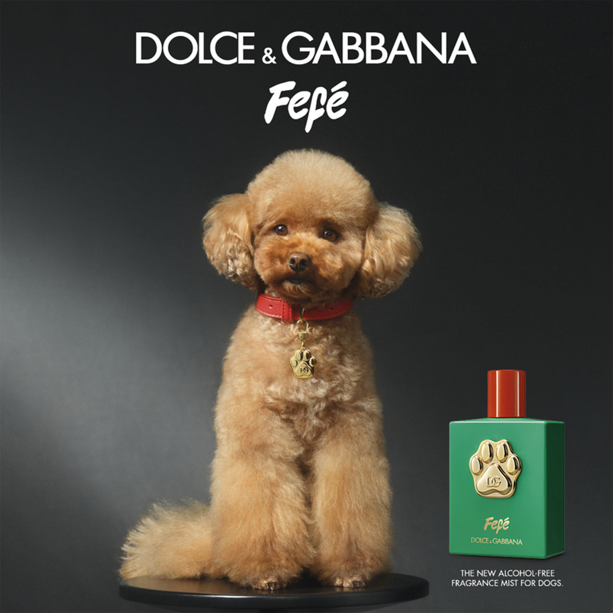 Fefé fragancia mist para perros libre de alcohol