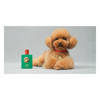 Dolce & Gabbana Bruma Sin Alcohol Para Perros Fefé