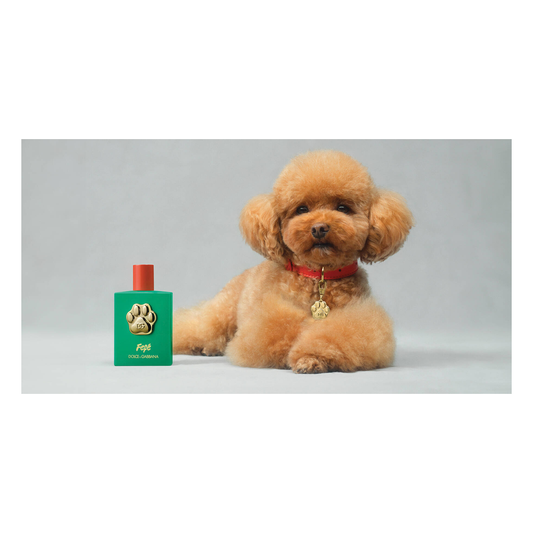 Dolce & Gabbana Bruma Sin Alcohol Para Perros Fefé