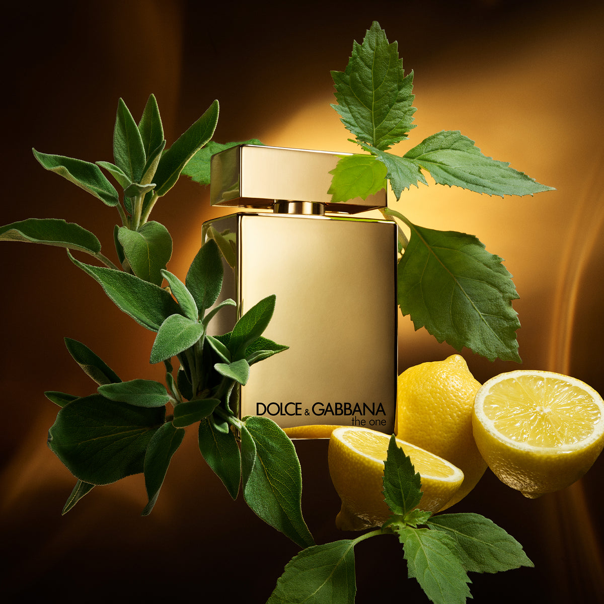 The One Gold Eau de Parfum - Attenza Panamá