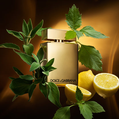 The One Gold Eau de Parfum - Attenza Panamá