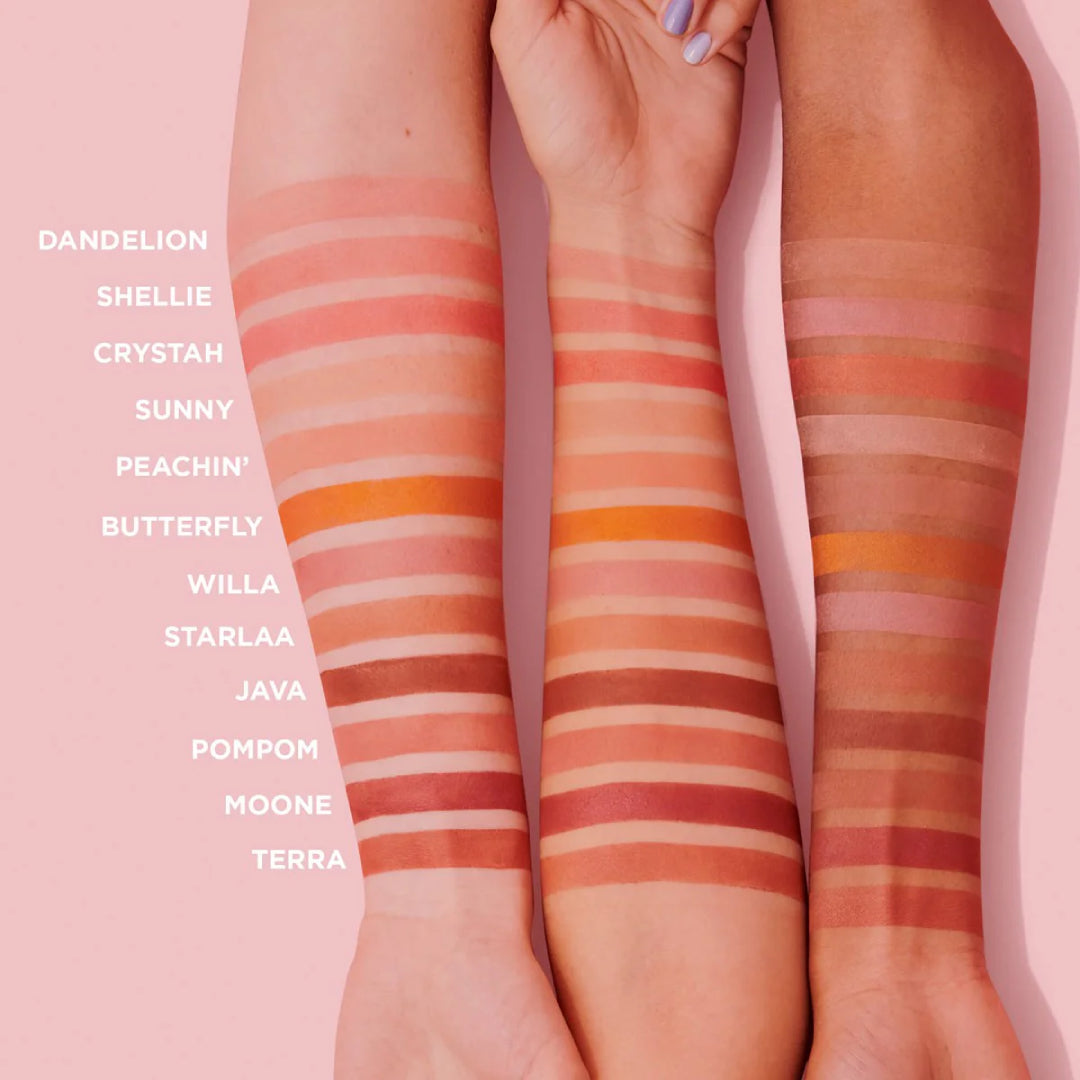 Starlaa Rosy bronze blush - Attenza.net