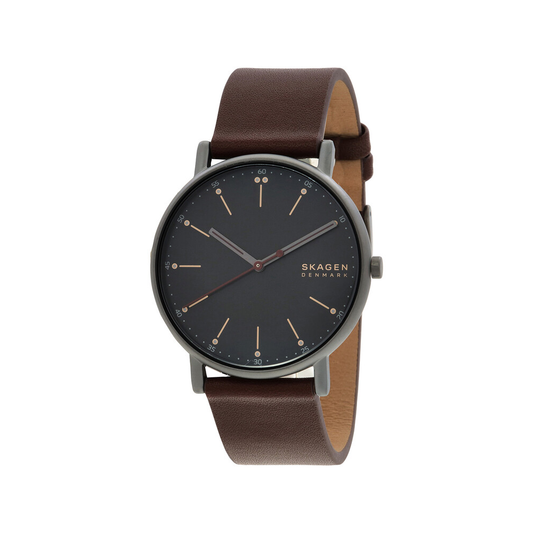 Skagen Reloj Signatur Con Correa Extra