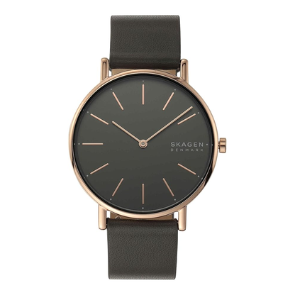 Skagen Reloj Signatur Con Correa Extra