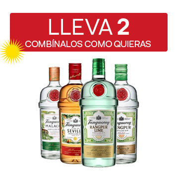 ANY 2 Tanqueray Sabores