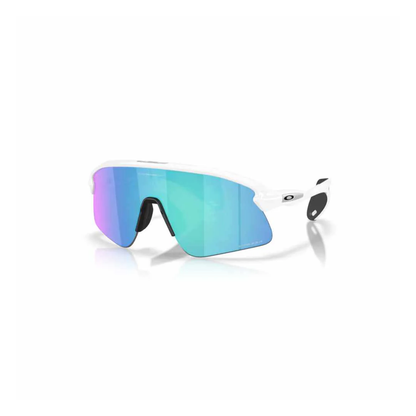 Oakley Lentes De Sol Stunt Devil Con Prizm