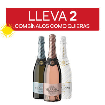 ANY 2 Cava Vilarnau
